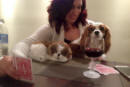 Maisie with my Stuffed Dog and Robyn Playing Cards